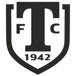 罗迪纳莫斯科B队