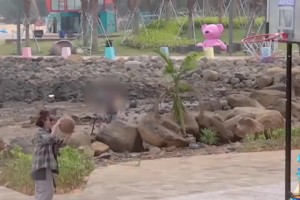 秦岚会打篮球？投篮这么准嘛😮